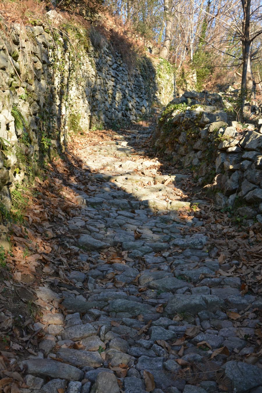 La calade, ruelle pavée du village
