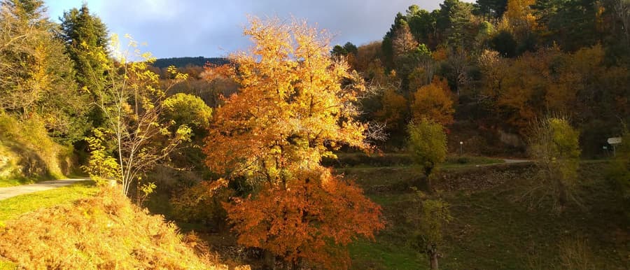 Les paysages de Pont de Labeaume en automne